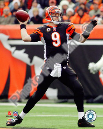 Carson Palmer