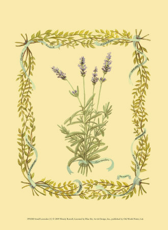 Lavender