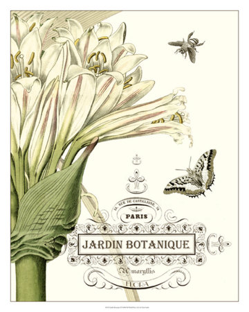 Buy Jardin Botanique II at AllPosters.com