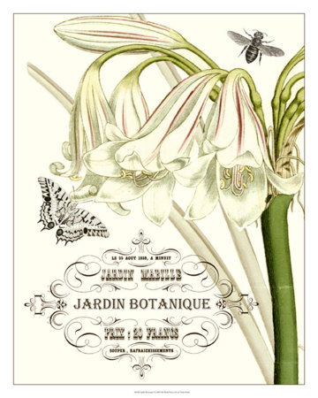 Buy Jardin Botanique I at AllPosters.com