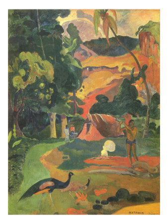 Matamoe, 1892
