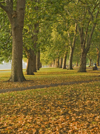 Autumn, Hyde Park, London, England, United Kingdom, Europe