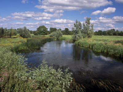 River Suir, Not Far from Cashel, County Tipperary, Munster, Republic of Ireland, Europe
