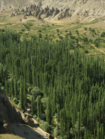 Star Wars Landscape, Selime Ilhara Valley, Cappadocia, Anatolia, Turkey Minor, Eurasia