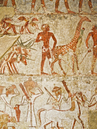 Giraffe Among the Tribute from Nubia, Tomb of Rekhmire, West Bank, Thebes, Egypt