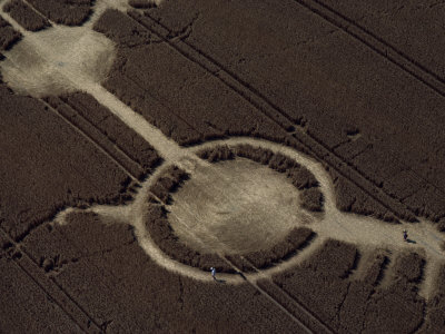 Early Example of a Crop Circle, Avon Wiltshire Border, England, United Kingdom, Europe