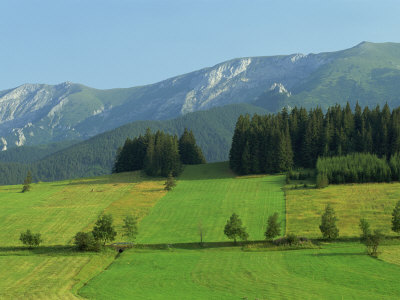 Farmland, High Tatras, Near Zdair and the Polish Border, Slovakia, Europe