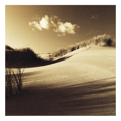 Buy Drifting Sands IV at AllPosters.com