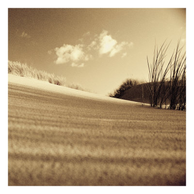 Buy Drifting Sands III at AllPosters.com