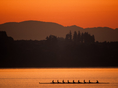 Buy Silhouette of Men's Eights Rowing Team in Action, Vancouver Lake, Washington, USA at AllPosters.com