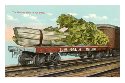 Giant Celery on Flatbed