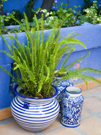 Colorful Ceramic Pots, San Miguel De Allende, Guanajuato State, Mexico