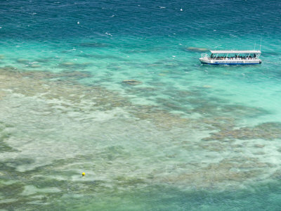 Glass Bottom Boat Tour, Amedee Islet, New Caledonia