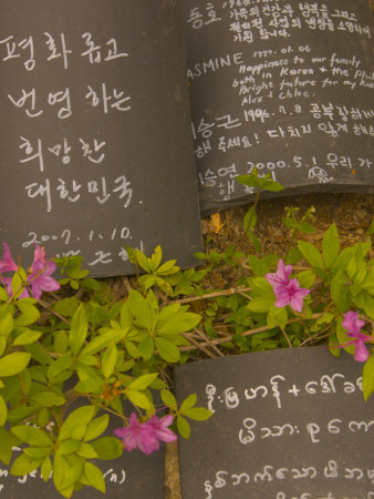Prayer Tablets and Wildflowers, Seokguram Grotto, Gyeongju, South Korea