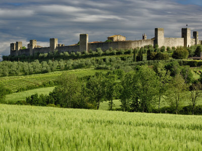 Wheat field and distant Monteriggioni, Siena, Tuscany, Italy