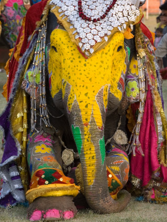 Elephant Festival, Jaipur, Rajasthan, India