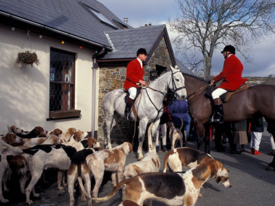 Riders and Hounds Awaiting Fox Hunt, Wales, United Kingdom