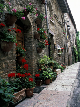 Flower Pots at Door, Assisi, Umbria, Italy