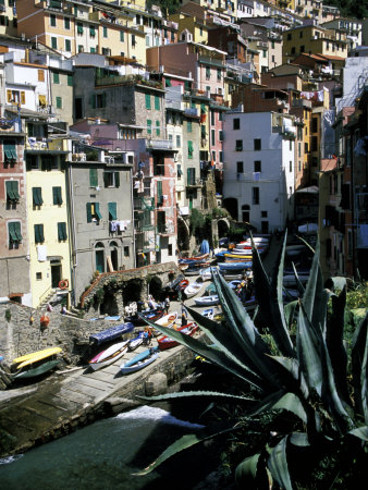 Colorful Buildings, Riomaggiore, Cinque Terre, Italy
