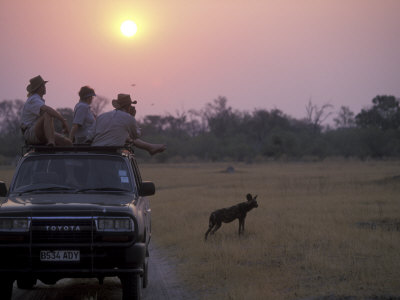 Tourists on Safari Watch, Khwai River, Moremi Game Reserve, Botswana