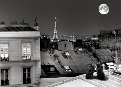 La Tour Eiffel de la rue St Eleuth�re Art Print