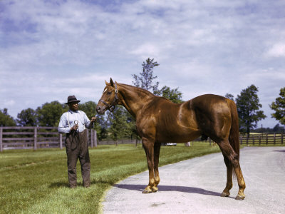 Champion Horse Man-O-War Poses with One of His Grooms