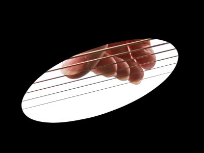 Rare Soundhole Perspective of Fingers Resting on Guitar Strings