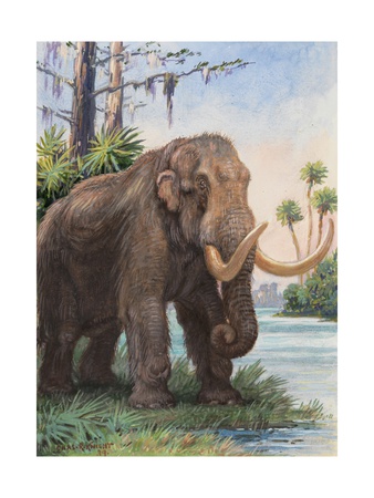 When the Age of Man Began, the Mastodon Still Inhabited North America