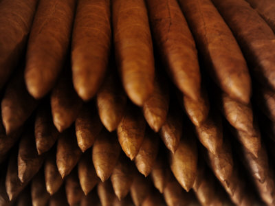 hand rolled cigar poster