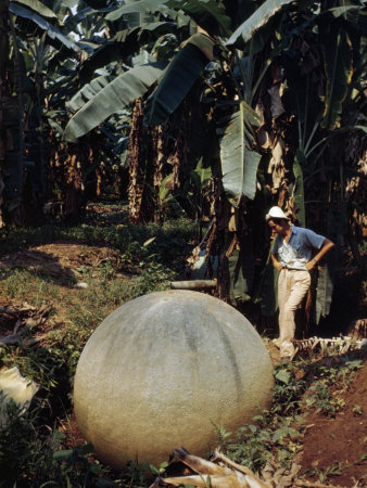 Buy Woman Studies Large Manmade Stone Sphere Resting in Banana Field at AllPosters.com