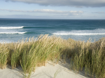 Buy Scenic Hillside of the Beach and Grasses on the Pacific Ocean at AllPosters.com