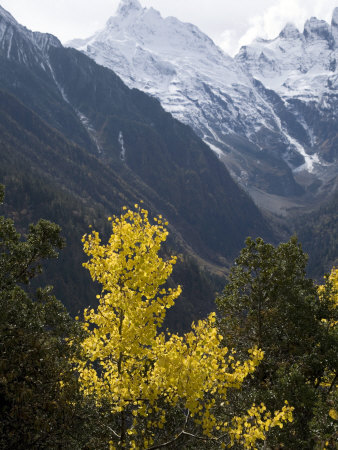 Mountain Scenery Near Yubeng, a Village in the Meili Snow Mountains