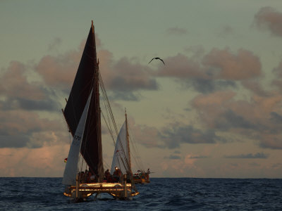 Buy Hokule'A, a Double Hulled Canoe and a Polynesian Voyaging Canoe at AllPosters.com
