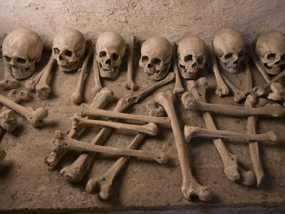 Skulls and Bones of People Who Died by Drowning in the Tiber
