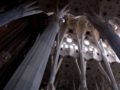 Buy Looking Up in the Interior of the Sagrada Familia Cathedral by Gaudi at AllPosters.com