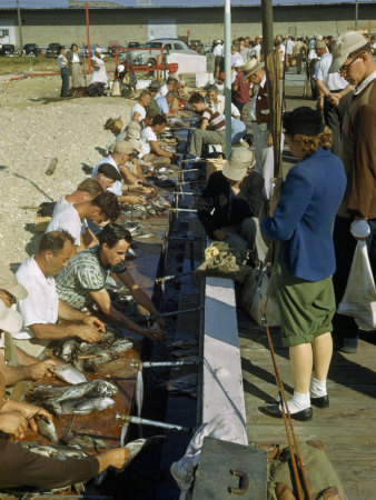Sport Fishermen Stand in a Line at Troughs to Clean their Fish