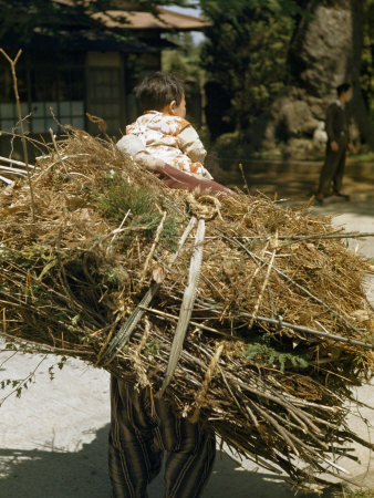 Mother Carries Her Infant Atop a Large Bundle of Firewood