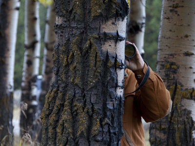Photographer Focussing a Lens