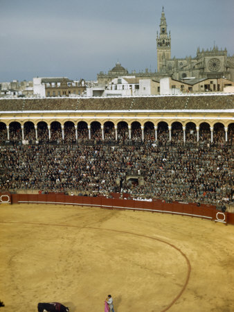Bullfighter Faces Off with a Bull in Front of a Crowded Stadium