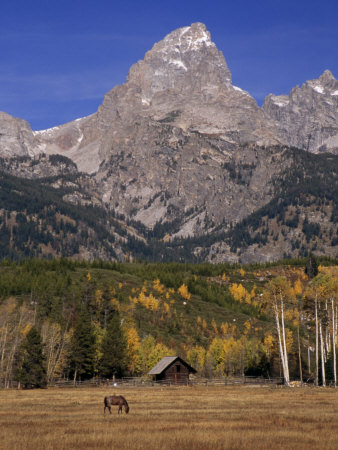 Buy Rugged Mountains and Grazing Horse in an Autumn Landscape at AllPosters.com