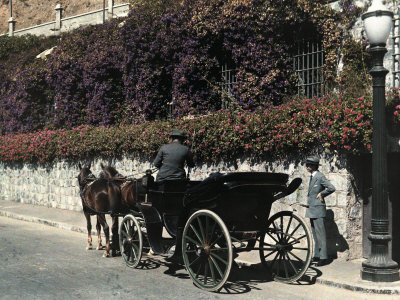 Man Steers an Open Carriage Pulled by a Pair of Chilean Horses