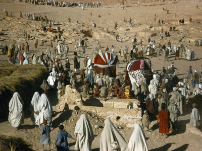 Crowd Follows Bridal Party Riding Camels Covered in Ornamental Cloth