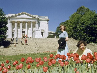 Women Admire Tulips Blooming Near Tomb of the Unknown Soldier