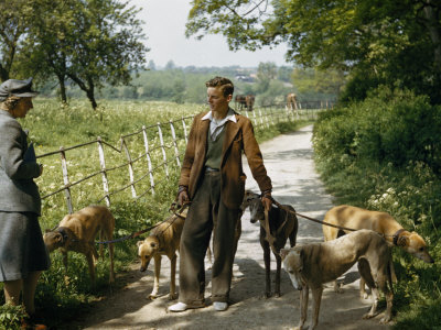 Buy Woman Talks with a Man Walking Racing Greyhounds at AllPosters.com