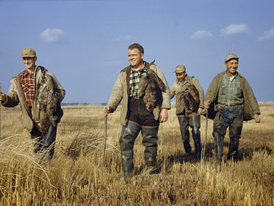 Buy Trappers Walk Home with a Successful Day's Catch of Muskrats at AllPosters.com