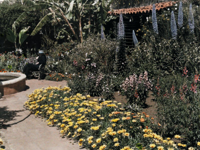 Buy Famous Garden Located in San Diego at AllPosters.com