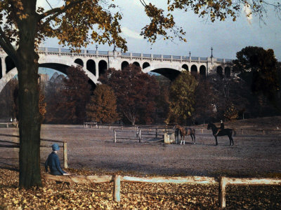 Buy Woman Sits Watching Horses in Rock Creek Park at AllPosters.com