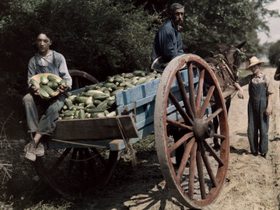 Buy Men and Boys Gather around a Horse-Pulled Wagon Full of Cucumbers at AllPosters.com