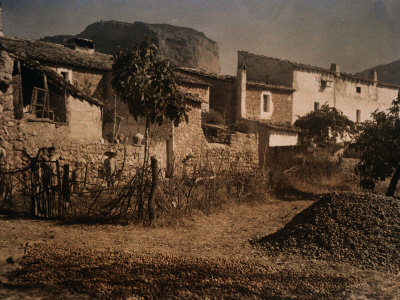 Buy Pile of Almonds Dries in the Sun So That They May Later Be Exported at AllPosters.com