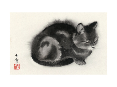 Buy Sleeping Gray Cat at AllPosters.com